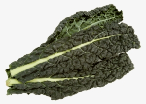 1 Bunch - Cavolo Nero In English
