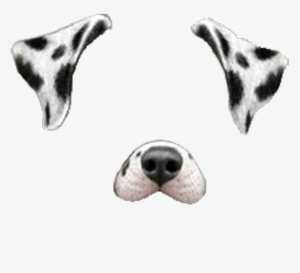 Snapchat Snapchatfilter Filter Dogface Dog Face White - Snapchat Dog Filter Png