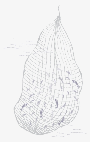 A Burmese Fisherman Living In Thailand - Sketch