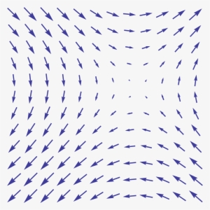 Vector Field
