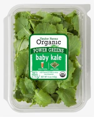 Baby Kale Taylor Farms