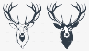 Vector Illustration Of A Male Red Deer Head - Stag Head