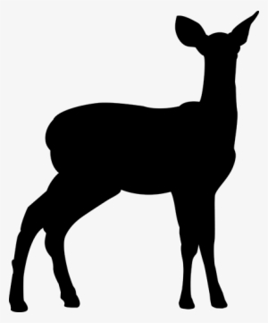 Deer Silhouette Png - Portable Network Graphics