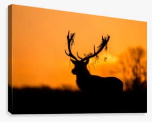 Stag Silhouette Png Download