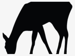 Silhouette