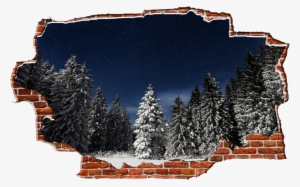 Zapwalls Decals Evergreen Snowy Trees Dark Night Breaking