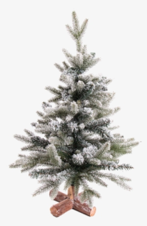 Christmas Tree Snowy, - Tree