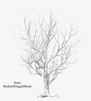 Go To Image - Winter