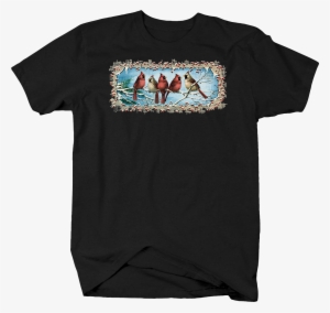 Red Cardinal Birds Sitting Snowy Tree Branches Nature