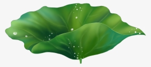 Hand Painted Cartoon Exquisite Lotus Leaf Decoration - Illustration