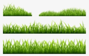 Read It - Grass Illustration Png Free