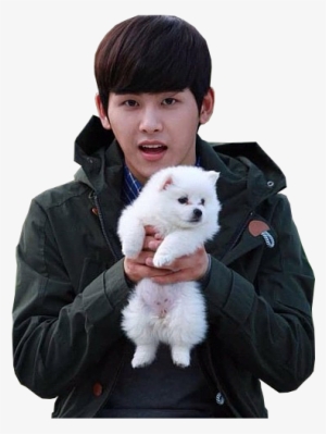 Infinite Is The One ♡ I'm As Troll As Sunggyu , I Laugh - Hoya In Reply 1997