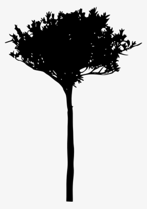 Free Download - Silhouette