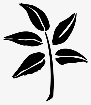 Leaf Tree Silhouette Graphic Arts Oak - Tea Leaves Black And White