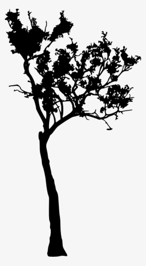 Free Download - Silhouette