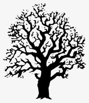 4302 Clipart Live Oak Tree Silhouette - Laser Cut Tree Vector