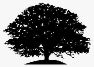 Red Oak Tree Silhouette Clip Art At Vector Clip Art - Clip Art Trees 