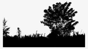 Silhouette Drawing Tree Leaf - Foliage Silhouette Png