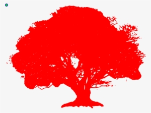 Big Old Tree Silhouette