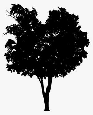 Free Oak Tree Silhouette Transparent Background - Portable Network Graphics