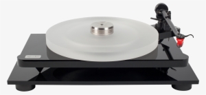 This Is One Seriously Poised, Confident And Discriminating - Table