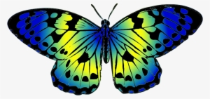 Colored Butterfly Png - Butterfly Blue And Yellow