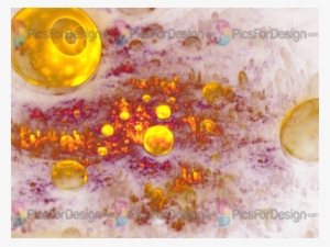 Illustration Store Picsfordesign - Circle