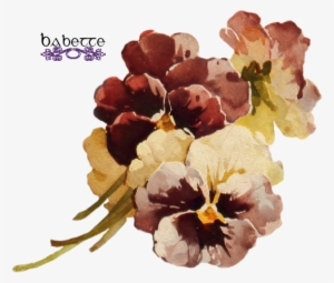 Fleurs 194-17 - Brown Flower Transparent Background