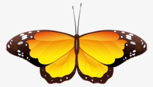 Real Butterfly Cliparts - Butterfly Clipart Black And White Png