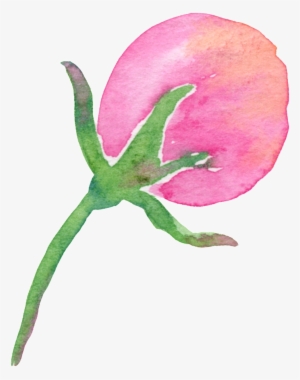 Branch