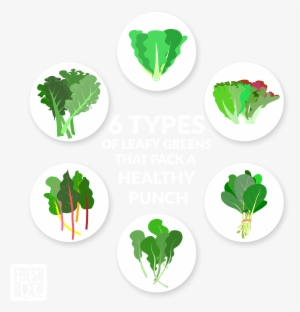 6 Types Of Leafy Greens That Pack A Healthy Punch - Types Of Leafy Greens