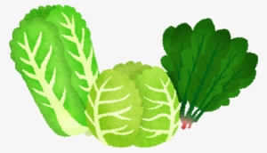Leafy Vegetables - Green Leafy Vegetables Clipart