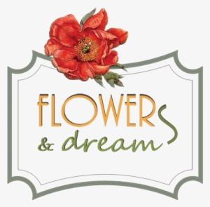 Lauderdale Florist - European Drawings: Catalogue Of The Collections