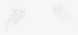 Angela Kwak - Monochrome