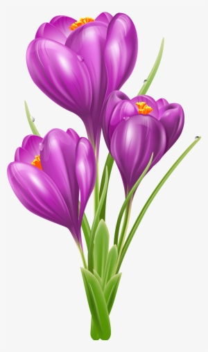 Pin By Courtney Patterson On Clip Art Flowers - Crocus Clipart