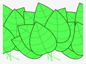 Leaves Clip Art