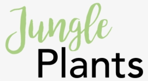 “a Mini Jungle On Your Doorstep” - Secrets Of Good-carb/low-carb Living