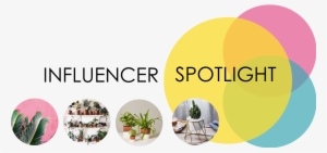 Indoor Plants Are Currently A Growing Trend And We - St Patricks's Day