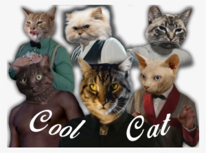 Cool Cat Crew - Cat