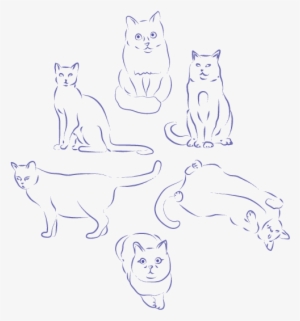 Minimal Cat Practice Sketches From Before I Knew This - Sketch
