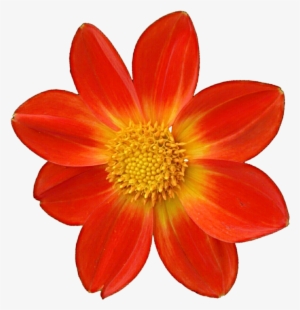 Dahlia Clipart Mexican - Dahlia Transparent