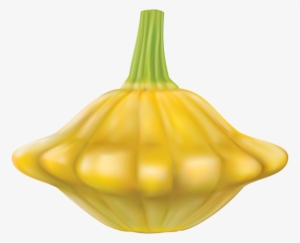 Patty Pan Squash Transparent Png Clip Art Image - Pattypan Png