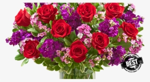 Red Colour Flowers Png