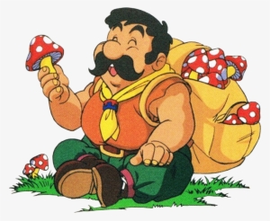 Legend Of Zelda Link's Awakening Tarin