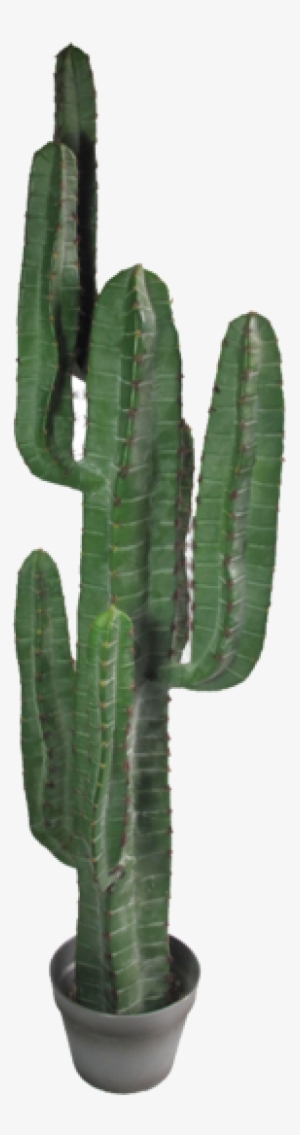 Yuha Cactus Large - Abigail Ahernedition Artificial Large Yuha Cactus,