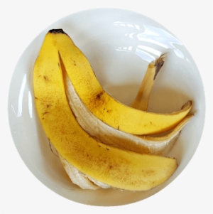 3 Ways To Improve Garden Soil Without Composting Plant - Peel