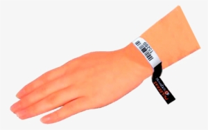 Aquí Nos Vamos A Centrar En El Sistema De Control Mediante - Pulsera Y Mano Png
