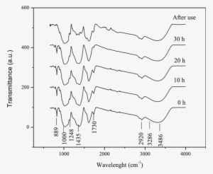 Ft-ir Spectra Of Banana Peels At Different Milling - Banana Peel