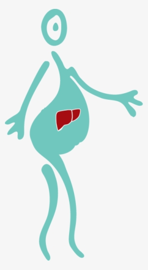 Liver Health - Liver Pregnancy