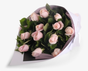 Soft Pink Rose Bouquet - Transparent Rose Bouquet Png